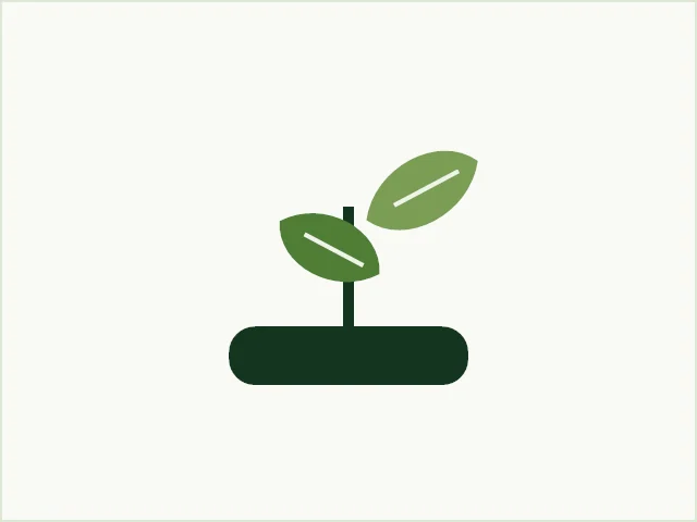 Aménagement paysager illustré